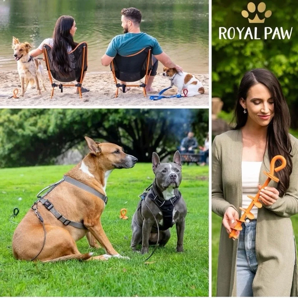 ROYAL-PAW Dog Tie Out Stake - for Large Dogs up to 210 Lbs Heavy Duty Dog Stak